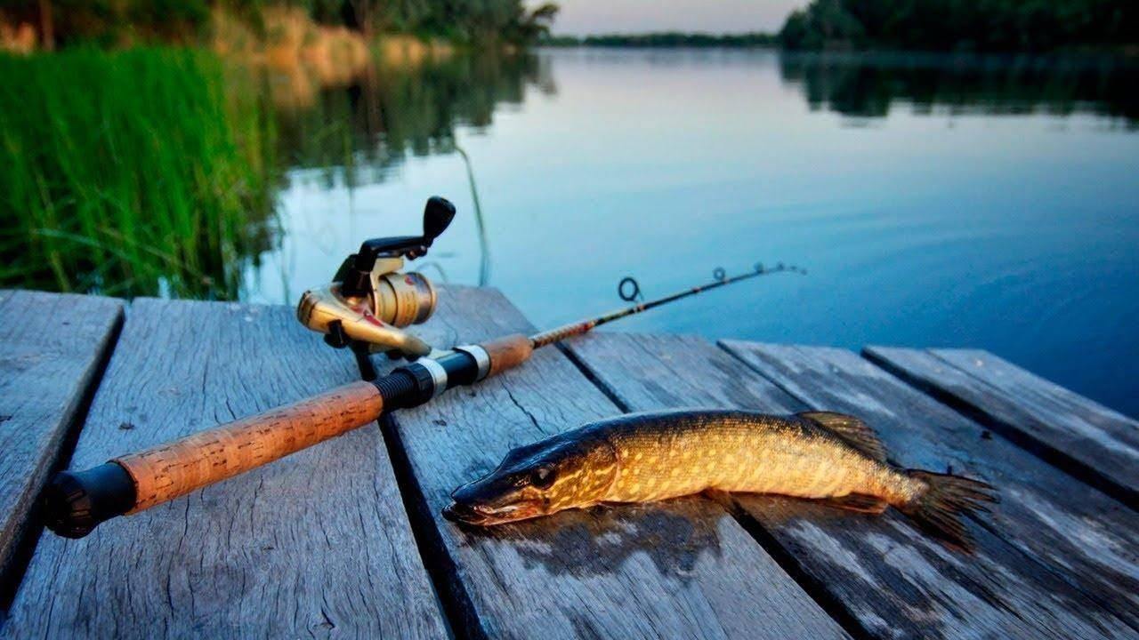 How to choose a fishing trip to the Philippines